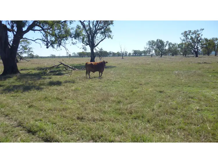 Fifth view of Homely rural property listing, 169, LOT 169 Port Curtis Road, Port Curtis QLD 4700