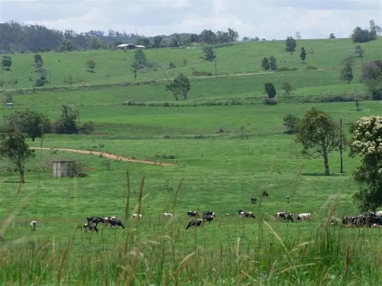 Third view of Homely rural property listing, F131 2381 Old Palmerston Highway, Ravenshoe QLD 4888