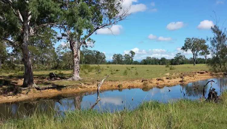 Third view of Homely rural property listing, 552 Geregarow Road, Shannondale NSW 2460