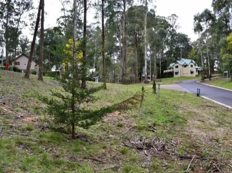 Fifth view of Homely land listing, 1 Man Court, Sawmill Settlement VIC 3723