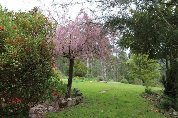 Second view of Homely rural property listing, 2700 Mansfield Whitfield Road, Tolmie VIC 3723