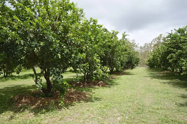 Second view of Homely rural property listing, 3762 Kennedy Highway, Mareeba QLD 4880