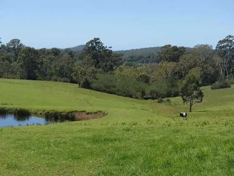 Sixth view of Homely rural property listing, 172A Pointer Road, Yatte Yattah NSW 2539
