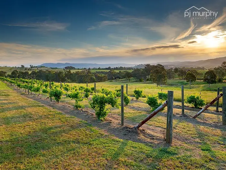 Second view of Homely rural property listing, 110 Allans Flat Road, Allans Flat VIC 3691