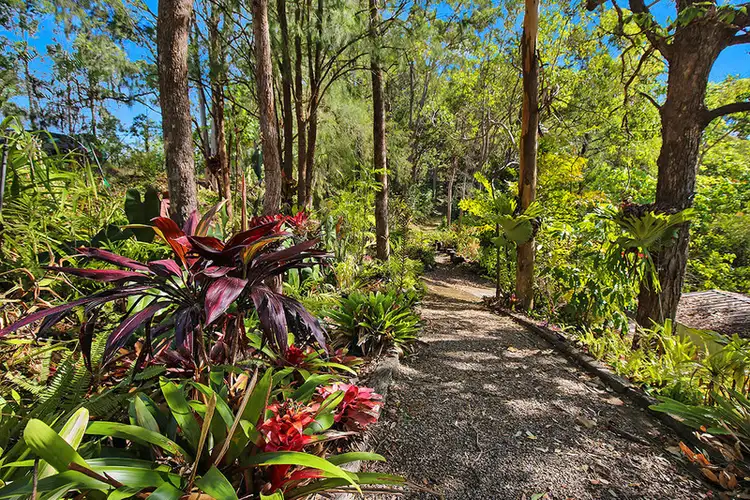 Third view of Homely house listing, 411 Hunchy Road, Hunchy QLD 4555