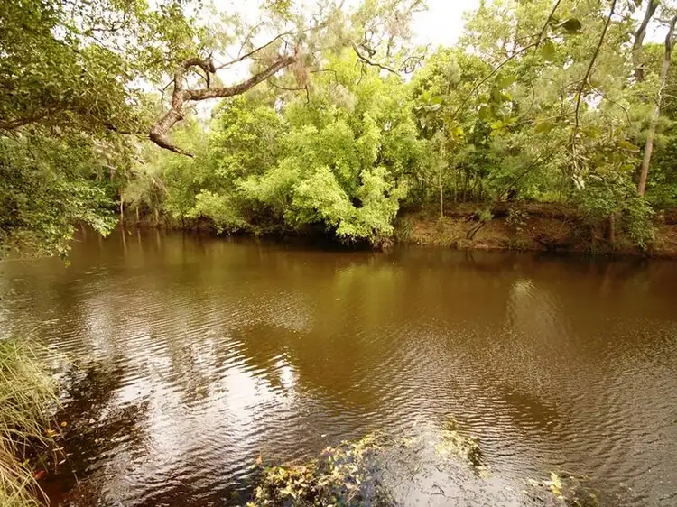 Main view of Homely house listing, 538 Limestone Creek Road, Adelaide Park QLD 4703
