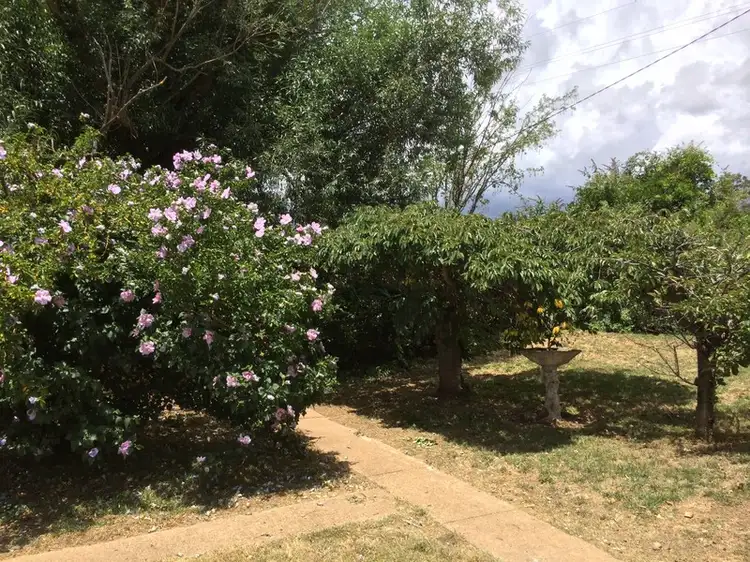 Third view of Homely rural property listing, 72 Shadforth Drive, Shadforth NSW 2800