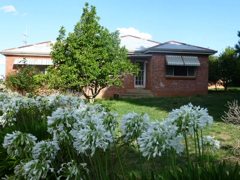 Main view of Homely rural property listing, 704 Forest Road, Orange NSW 2800