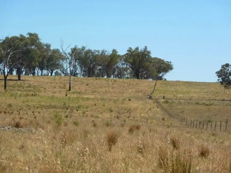 Charleville Packham Drive, Molong NSW 2866