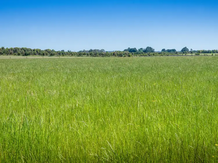 Fifth view of Homely rural property listing, 3615 Cape Otway Road, Birregurra VIC 3242