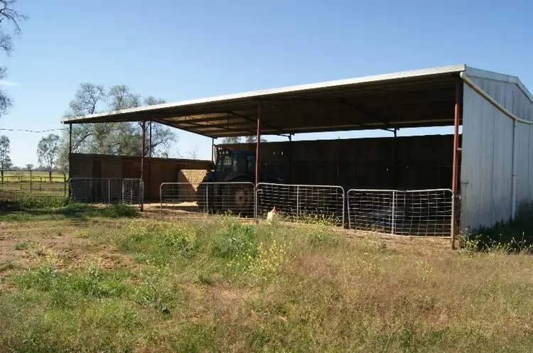 Fifth view of Homely rural property listing, - Ridds Lane, Tamworth NSW 2340