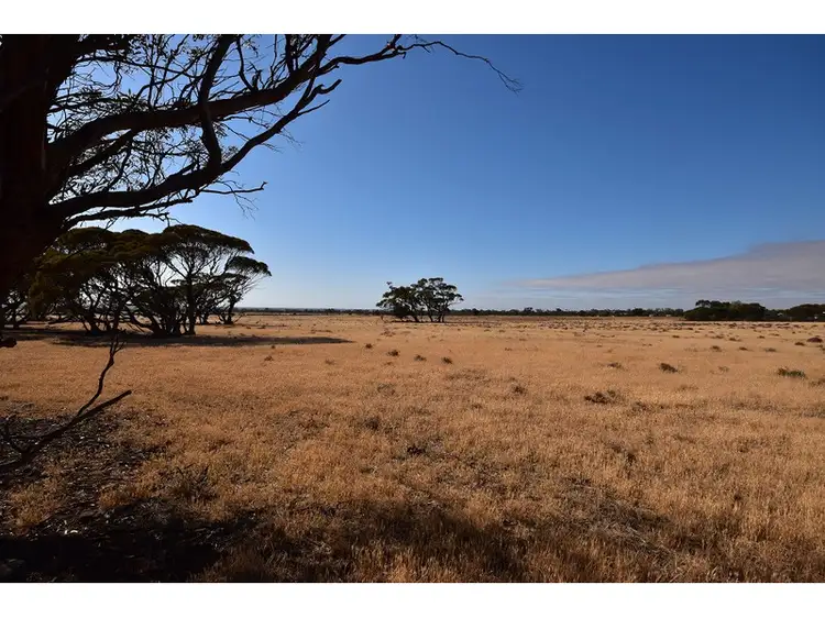 Second view of Homely rural property listing, Address available on request