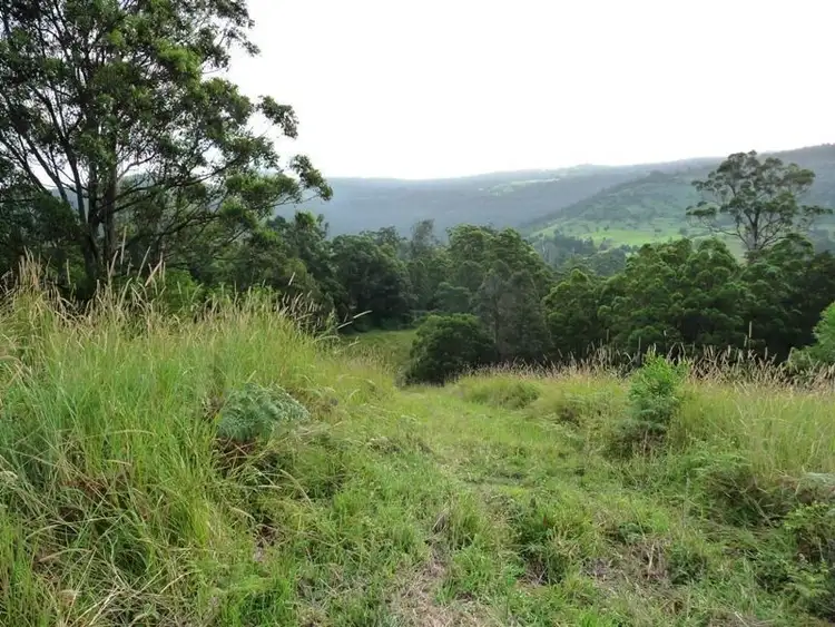 Third view of Homely land listing, 121 Pocket Road, Numinbah Valley QLD 4211