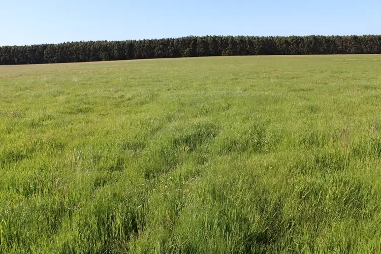 Seventh view of Homely rural property listing, Friends Road, Myamyn VIC 3304