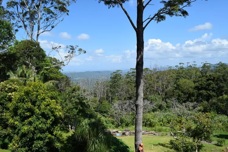 Seventh view of Homely house listing, 11 CLIFF Way, Tamborine Mountain QLD 4272