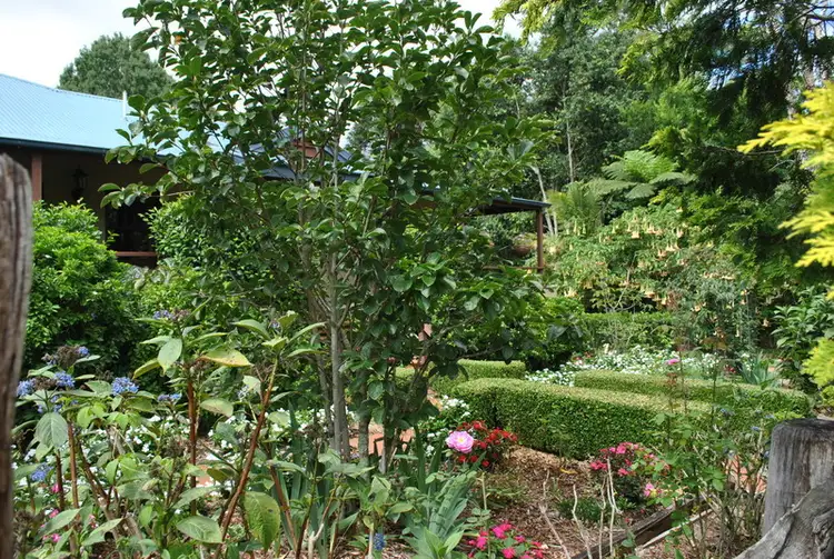 Third view of Homely house listing, 28 BEECHMONT Avenue, Tamborine Mountain QLD 4272