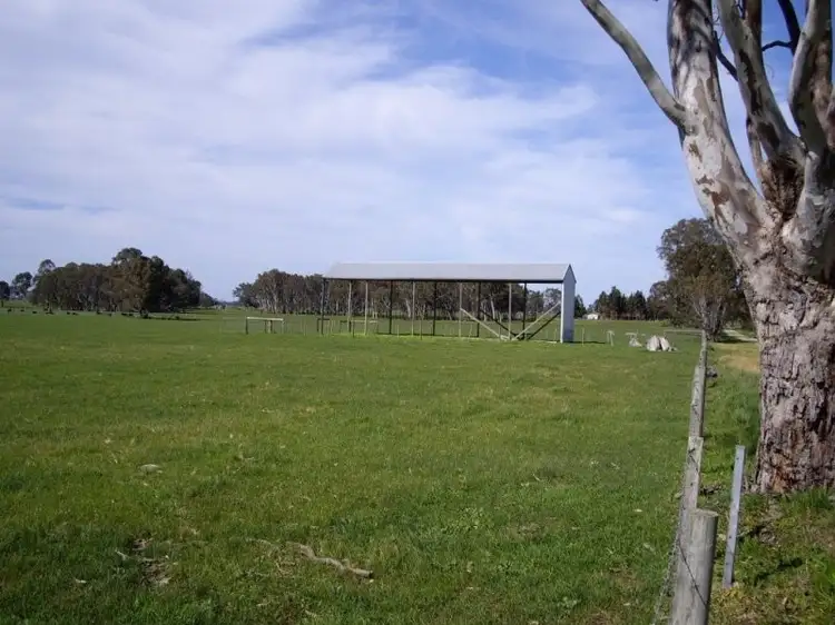 Main view of Homely rural property listing, Lot 494 Chuck Road, Tarpeena SA 5277