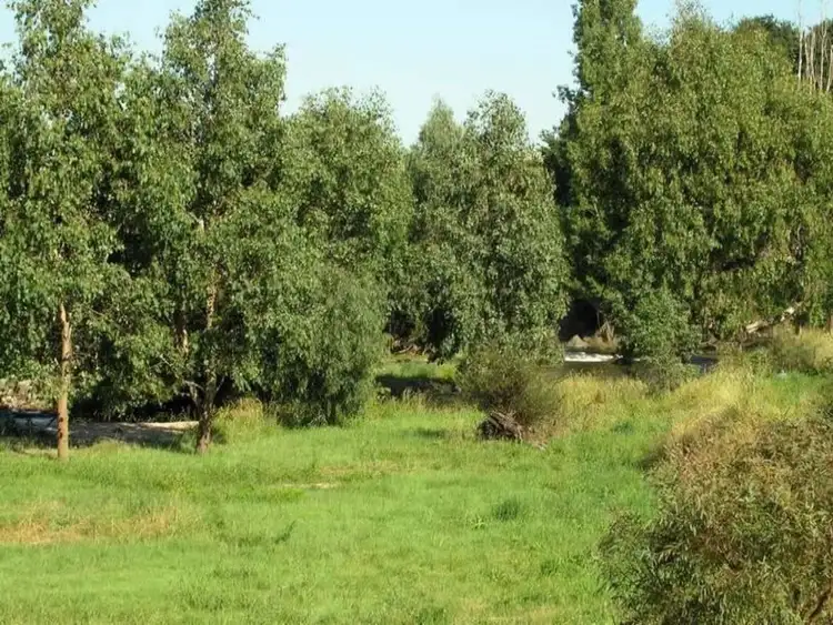 Third view of Homely land listing, 1 Omega Street, Merrijig VIC 3723