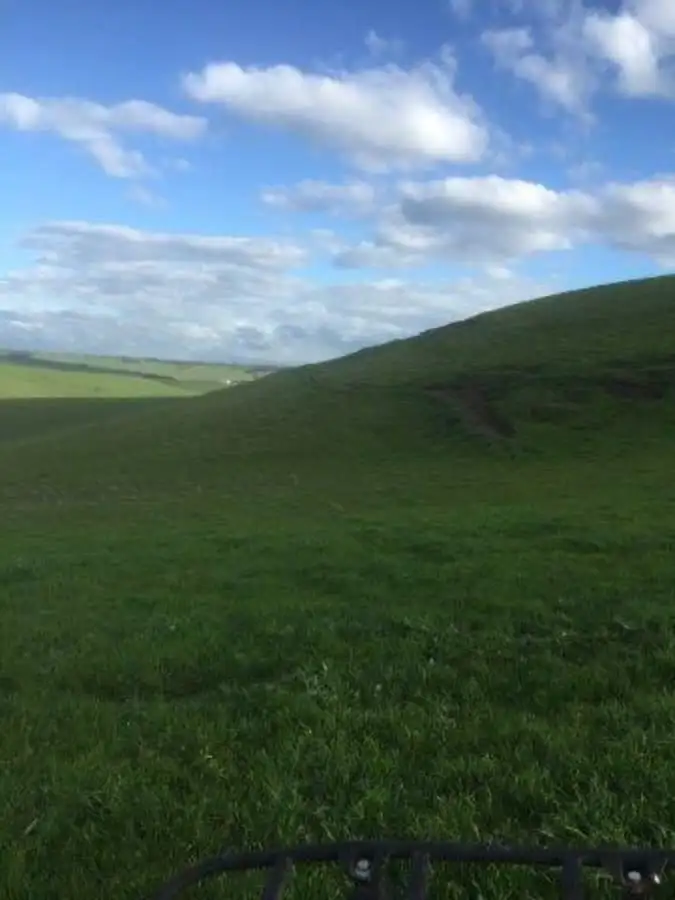 Fourth view of Homely rural property listing, Tarrenlea Road, Coleraine VIC 3315