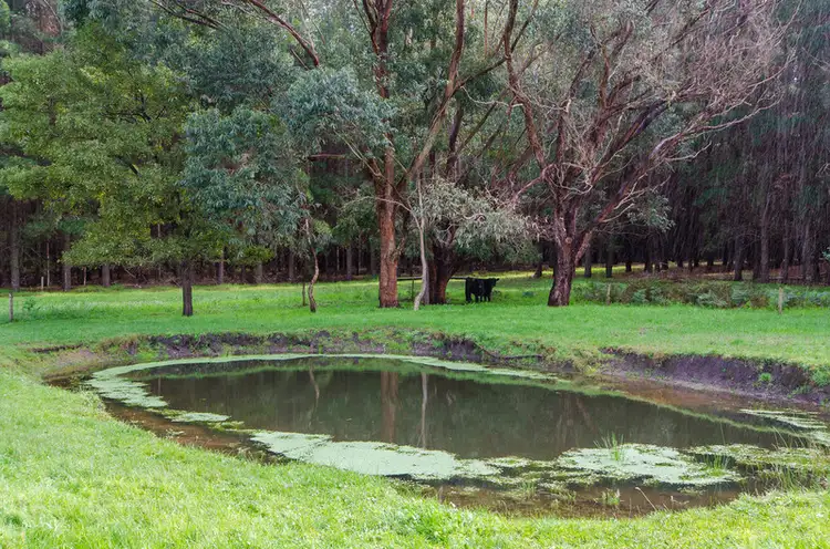 Second view of Homely rural property listing, 138 Kennedy Road, Glencoe SA 5291
