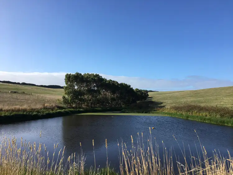 Third view of Homely rural property listing, 329 Eastern Creek Road, Port Campbell VIC 3269