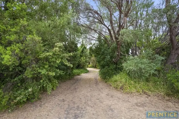 Fourth view of Homely house listing, 131 Canterbury Jetty Road, Rye VIC 3941