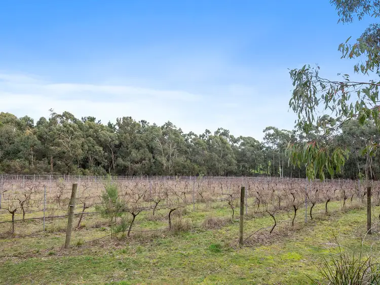 Seventh view of Homely land listing, 30 Hoveys Road, Barongarook VIC 3249
