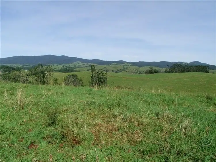 Fourth view of Homely rural property listing, F700 Lot 2 Mullins Road, Millaa Millaa QLD 4886