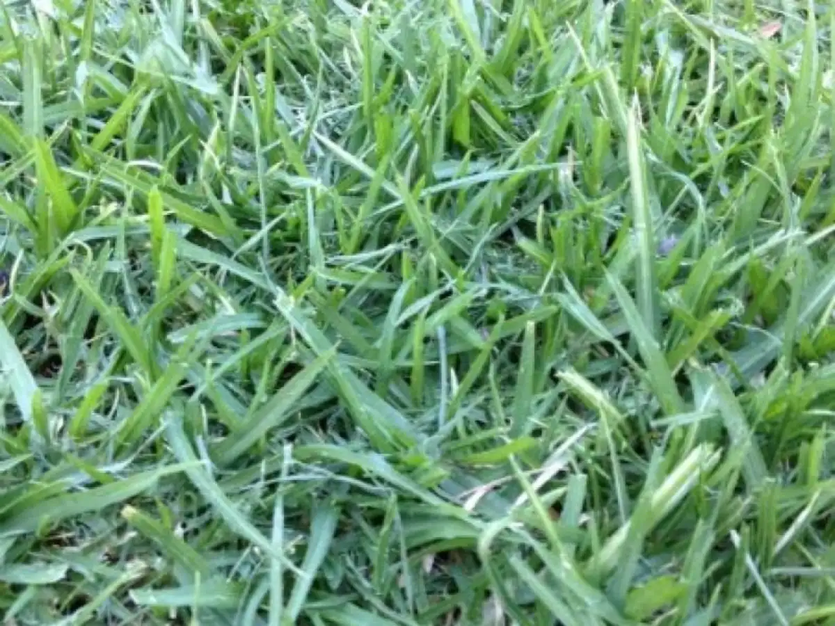 Main view of Homely land listing, LOT 641 Eros Crescent, Cranbourne West VIC 3977