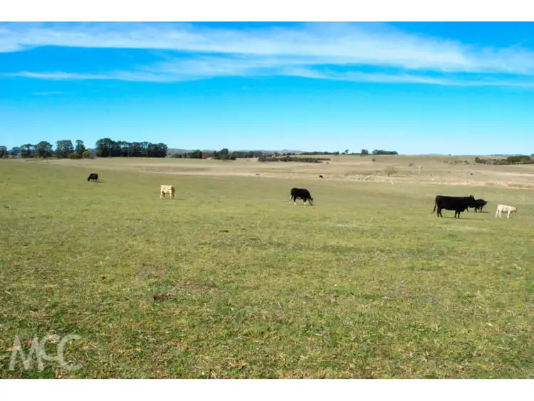 Sixth view of Homely rural property listing, 90 Tallwood Road, Millthorpe NSW 2798
