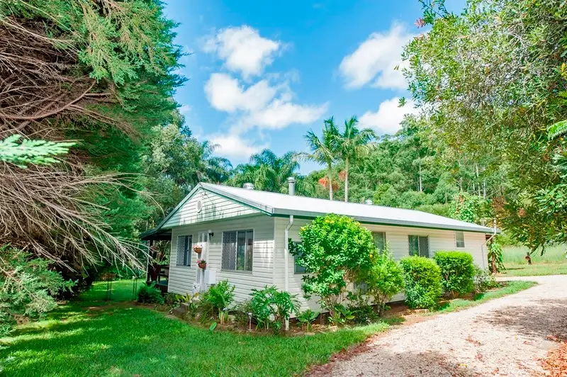 Main view of Homely rural property listing, 1983 Numinbah Road, Chillingham NSW 2484