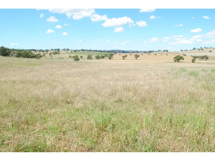 Second view of Homely rural property listing, 4096 Henry Parkes Way, Manildra NSW 2865
