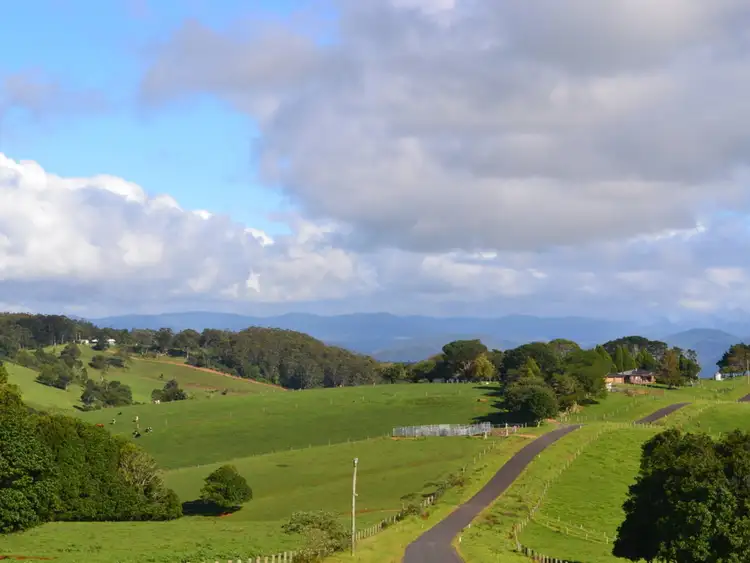 Sixth view of Homely rural property listing, lot 3 Ingleside Road, Comboyne NSW 2429