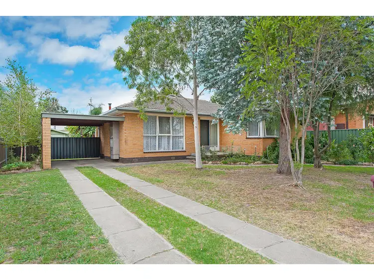 538 Douglas Road, Lavington NSW 2641