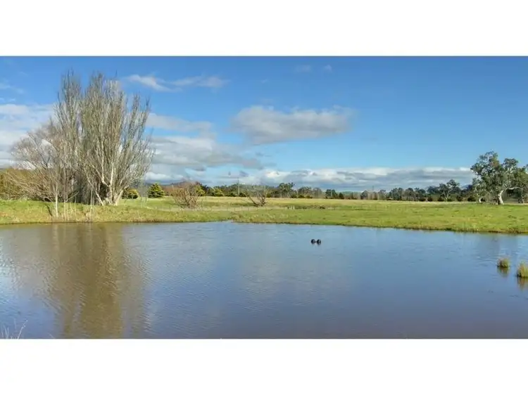 Second view of Homely rural property listing, 545 Mt Buller Road, Mansfield VIC 3722