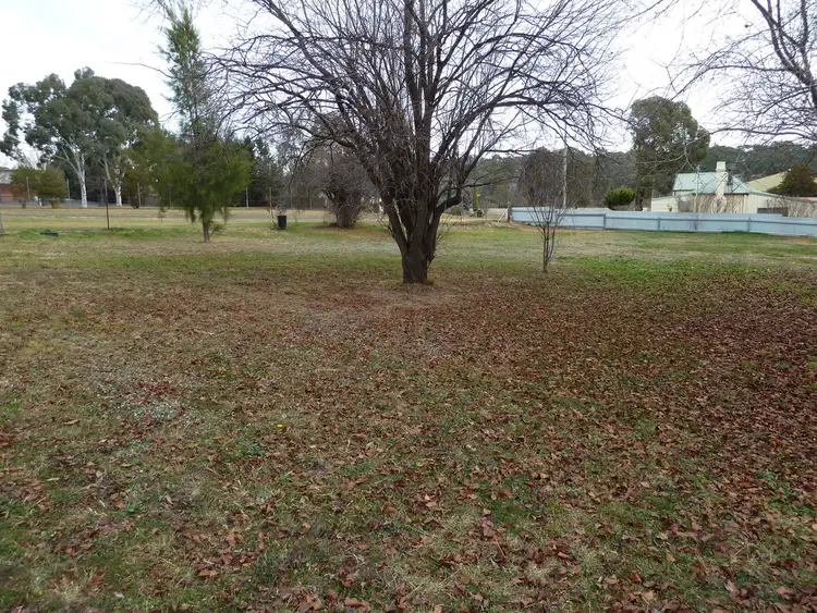 7 George Street, Molong NSW 2866