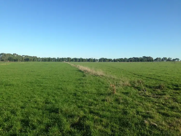 Second view of Homely rural property listing, 470A Cobden - Warrnambool Road, Cobden VIC 3266