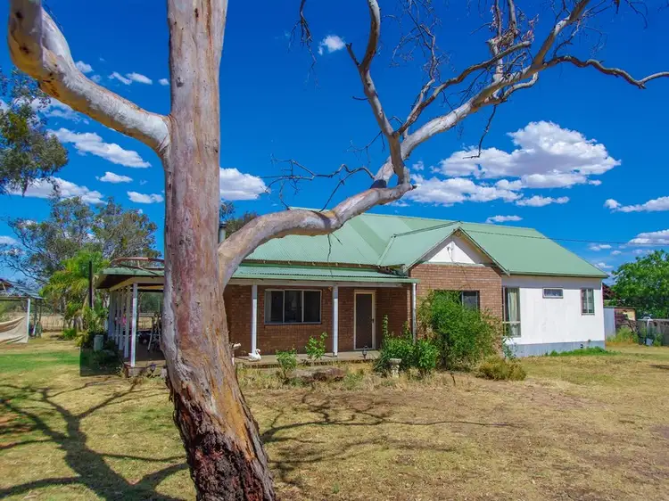 Main view of Homely rural property listing, 80L Peak Hill Road, Dubbo NSW 2830