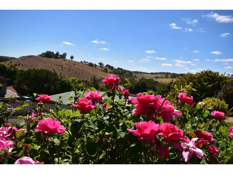 Third view of Homely house listing, 6 Vista Court, Gumeracha SA 5233