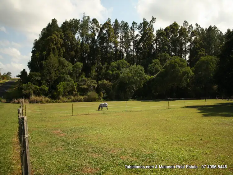 Fifth view of Homely land listing, LOT L668/Lot 31, 169 Lakes Drive, Lake Eacham QLD 4884