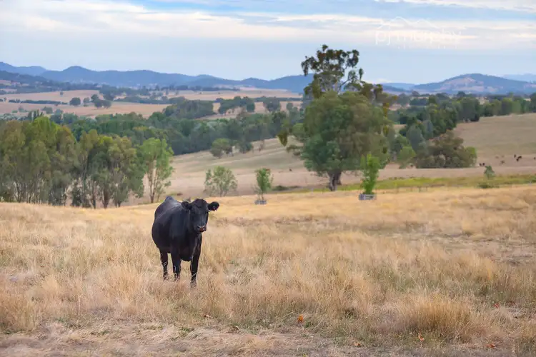 Third view of Homely land listing, Lot 2 / 172 Osbornes Flat Road, Yackandandah VIC 3749