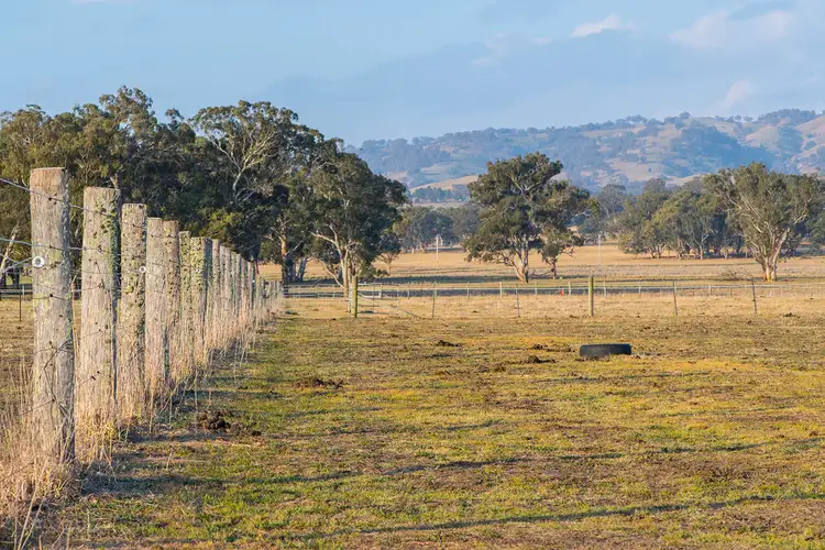 Fourth view of Homely rural property listing, 18 Haydons Lane, Blandford NSW 2338