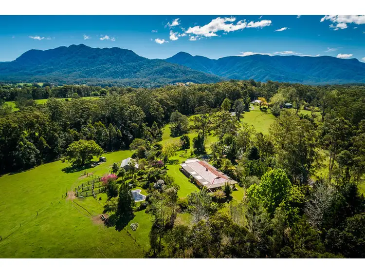 229 Roses Road, Bellingen NSW 2454