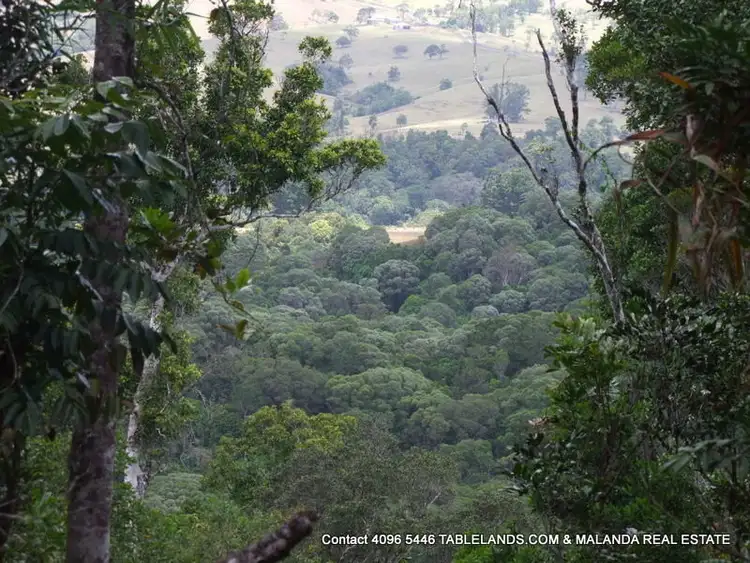 Main view of Homely rural property listing, LS1100 Lot 214 Kelly Road, Ellinjaa QLD 4886