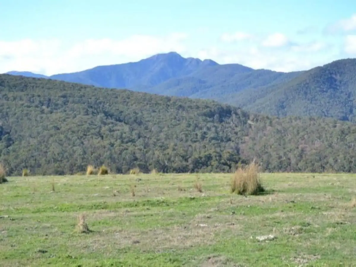 Main view of Homely rural property listing, LOT 61A McCormacks Lane, Mansfield VIC 3722
