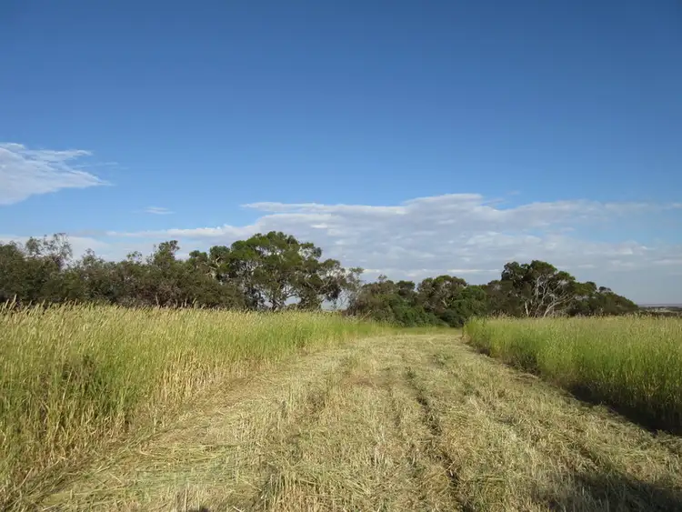 Third view of Homely rural property listing, Signal Flat Road, Finniss SA 5255