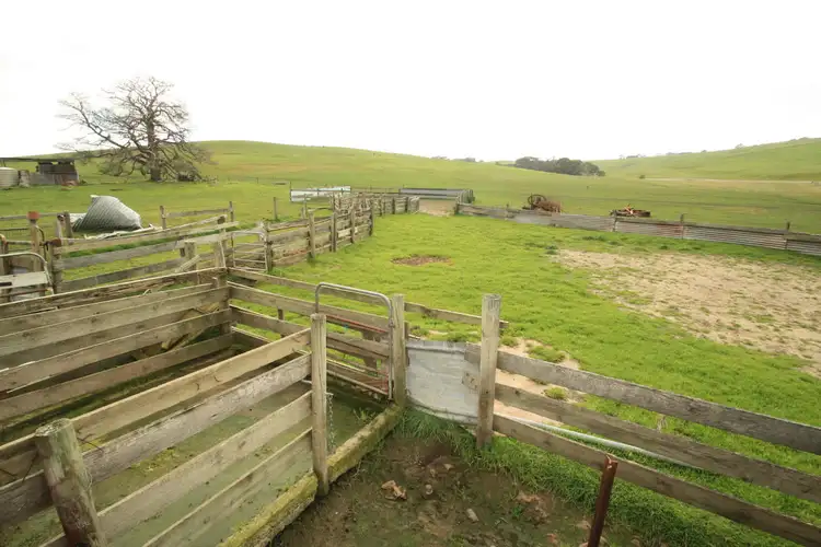 Fifth view of Homely rural property listing, 680 Balmoral Road, Coleraine VIC 3315