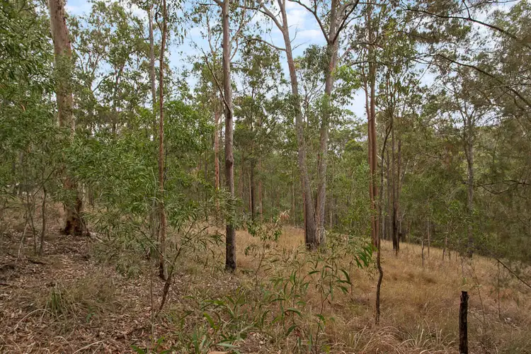 Fourth view of Homely land listing, 286 Nerang Murwillumbah Road, Clagiraba QLD 4211