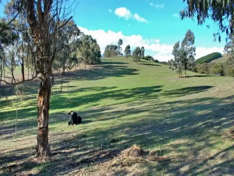 Fifth view of Homely house listing, 185 Banumum Road, Mansfield VIC 3722