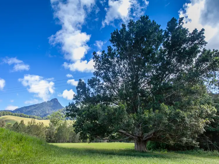 Seventh view of Homely land listing, 1864 Kyogle Road, Uki NSW 2484